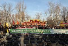 深度整合区域优
